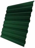 Профнастил С10-1180/2000 (ПЭ-0,7) RAL6005 зеленый мох